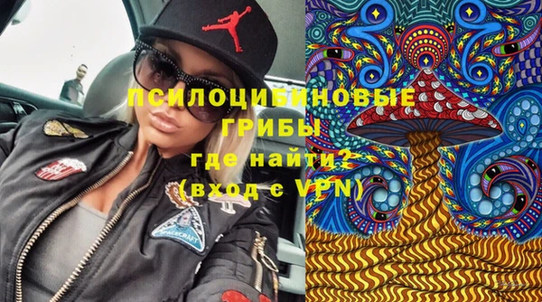 прущий лед Алексеевка