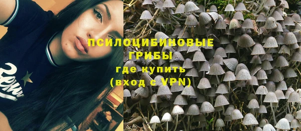 прущие крисы Алзамай