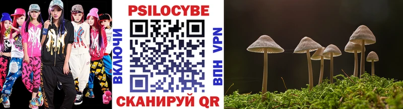 как найти   Электрогорск  Галлюциногенные грибы Psilocybine cubensis 