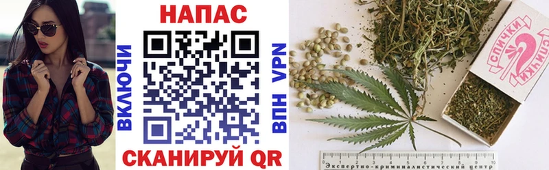 Бошки Шишки индика Электрогорск